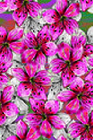 粉色花卉印花华亿平台图片