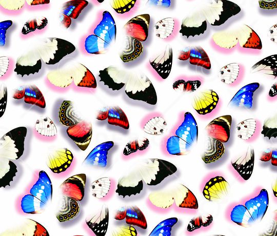 动物印花华亿平台图片