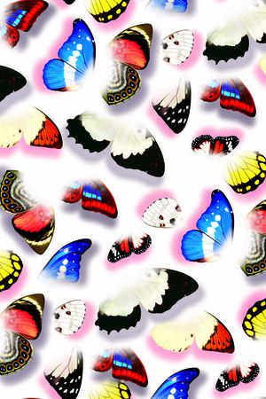 动物印花华亿平台图片