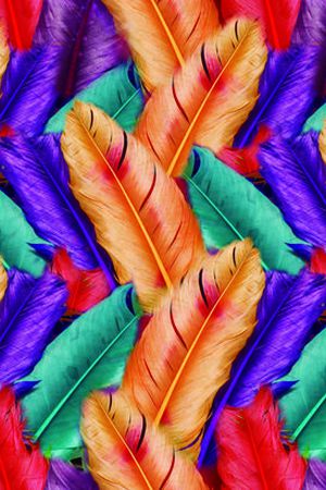 动物组合印花华亿平台图片