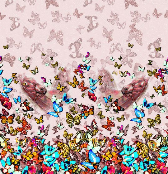 底纹印花华亿平台图片