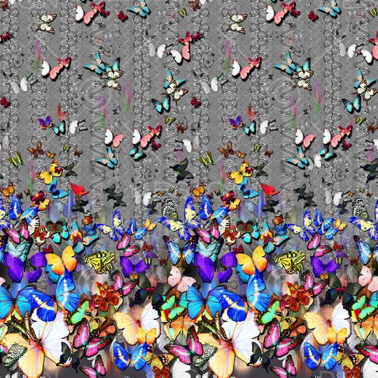 彩印花华亿平台图片