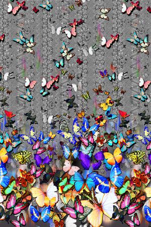 彩印花华亿平台图片