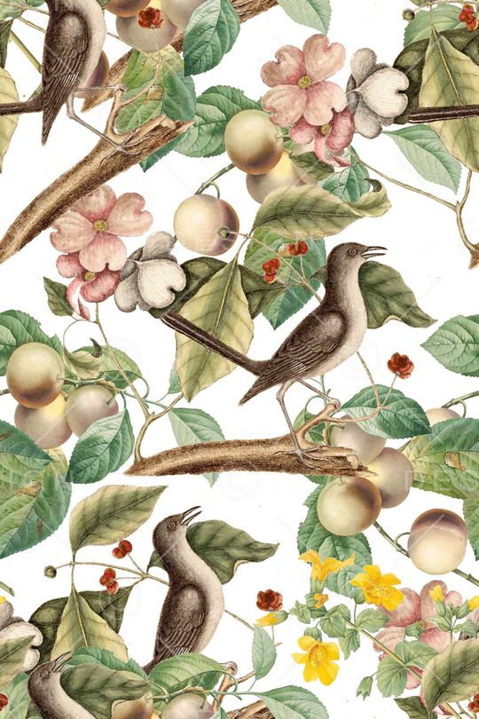 彩色素描印花华亿平台图片