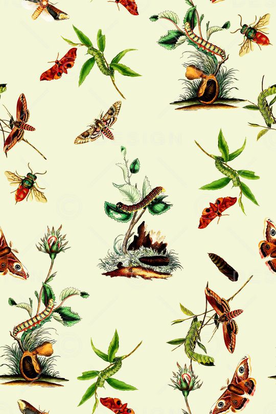 休闲印花华亿平台图片