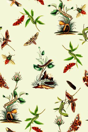 休闲印花华亿平台图片