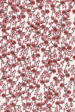 樱花印花华亿平台图片