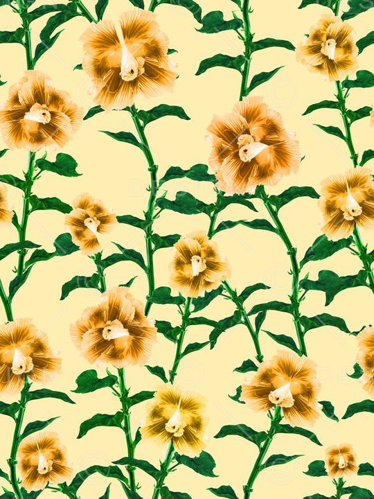 花鸟印花华亿平台图片