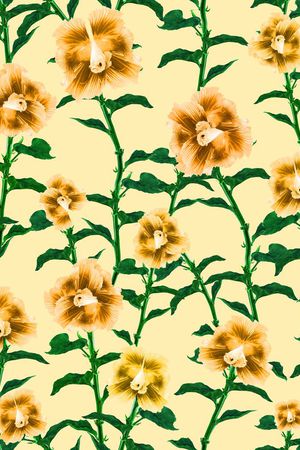 花鸟印花华亿平台图片