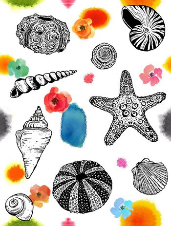 428733-海洋主题贝壳海洋海星水彩墨点与花卉