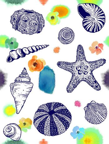 428734-海洋主题贝壳海洋海星水彩墨点与花卉