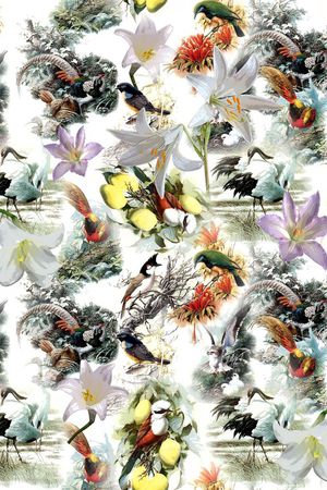 百合印花华亿平台图片