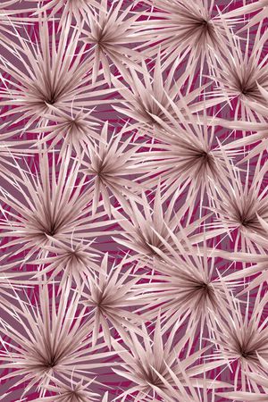 热带雨林印花华亿平台图片