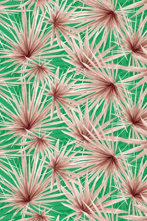 热带雨林印花华亿平台图片