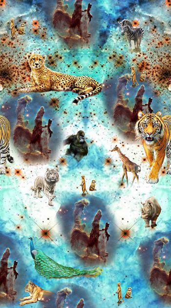 428835-唯美星系背景宇宙生物