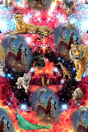 唯美印花华亿平台图片