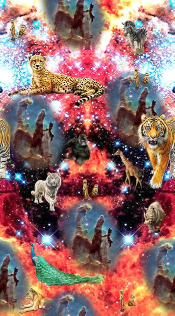 428836-唯美星系背景宇宙生物