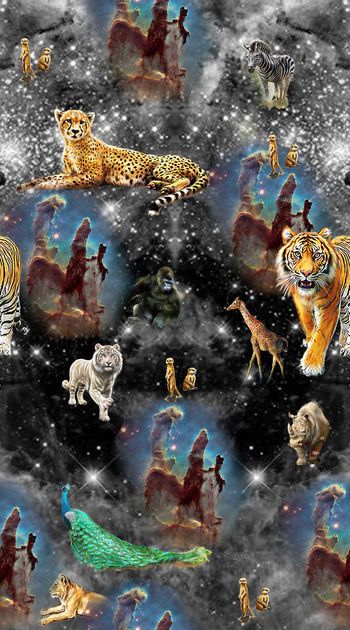 428837-唯美星系背景宇宙生物