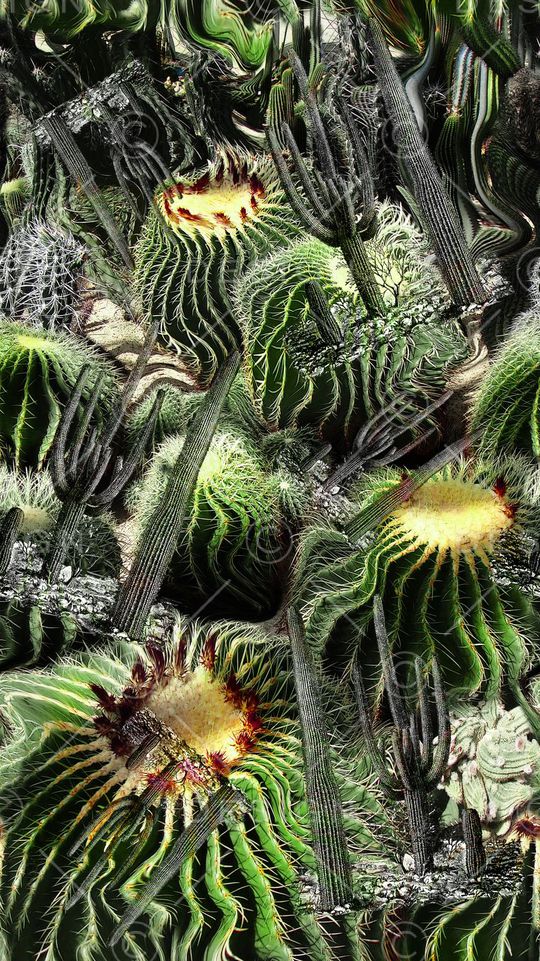 景观印花华亿平台图片