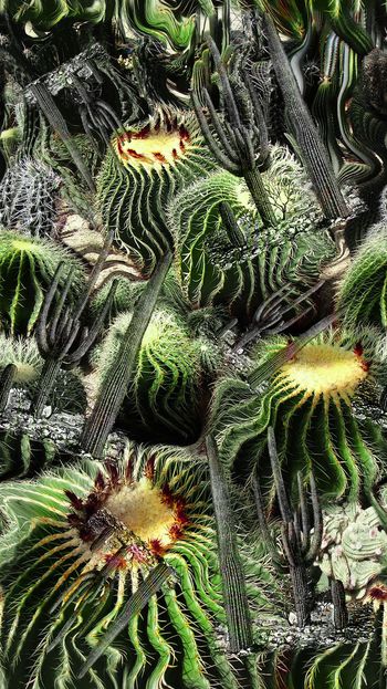 428947-沙漠植物仙人球手绘仙人掌沙地景观组