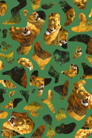 动物印花华亿平台图片