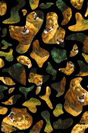 动物印花华亿平台图片