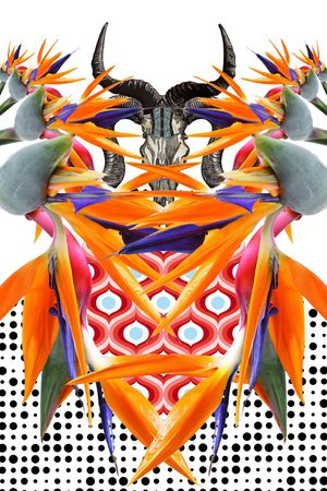 波点渐变印花华亿平台图片