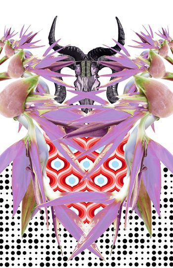 429036-个性定位天堂鸟热带雨林风格印花