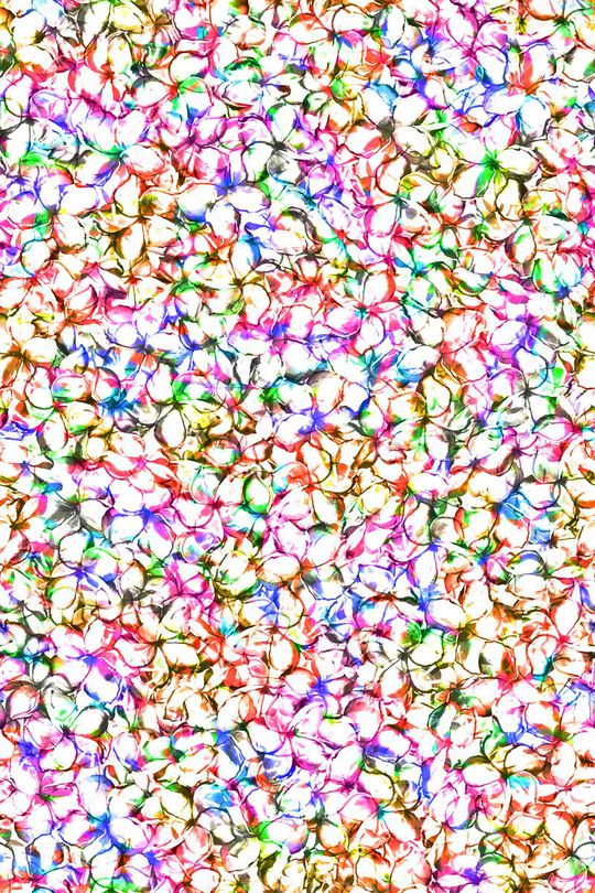 鸡蛋花印花华亿平台图片