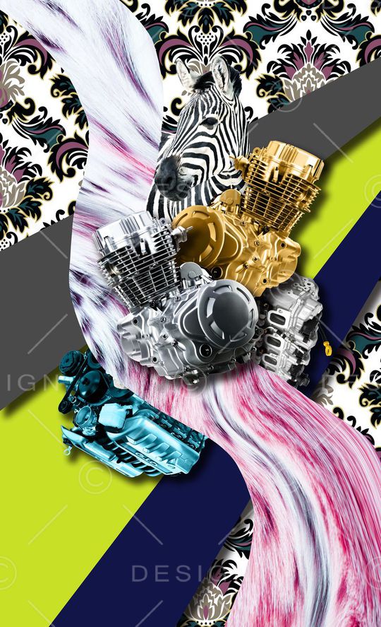 斑马印花华亿平台图片