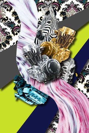 斑马印花华亿平台图片