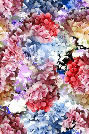 花簇集合印花华亿平台图片