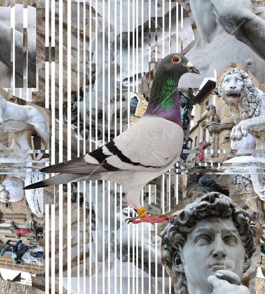 潮流印花华亿平台图片