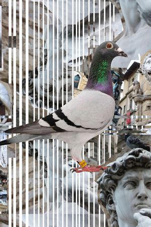 潮流印花华亿平台图片