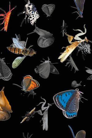 抽象印花华亿平台图片