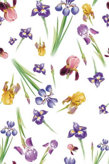 429335-清新鸢尾花卉，沙发布印花，家纺印花