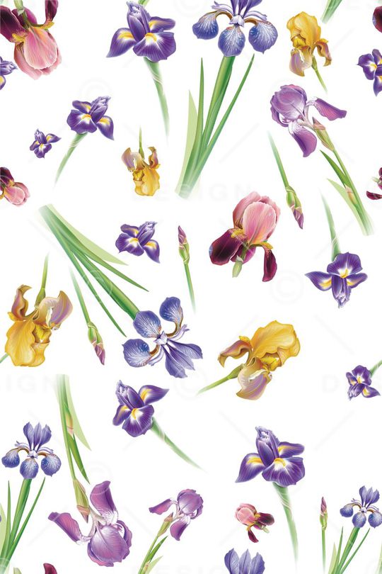 清新印花华亿平台图片