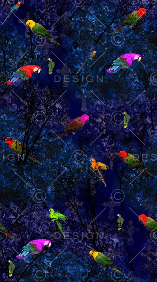 动物印花华亿平台图片