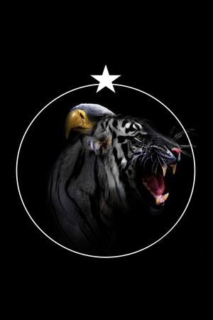 欧式印花华亿平台图片