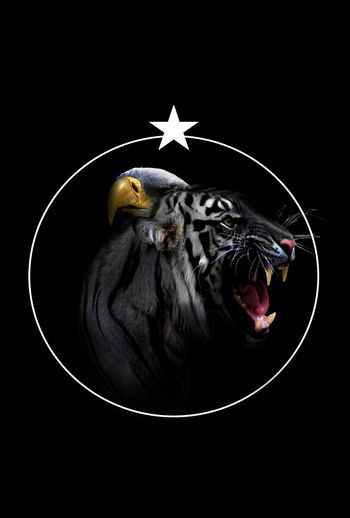 欧式印花华亿平台图片