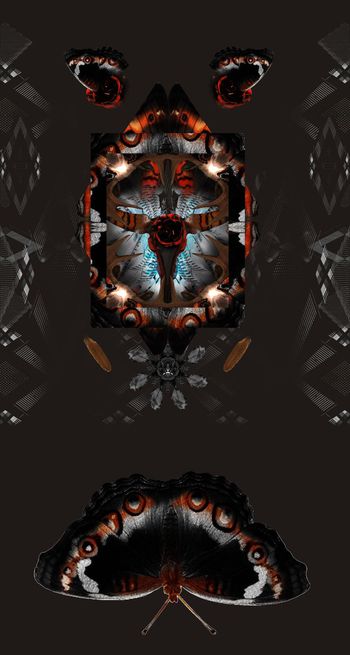 欧洲大牌印花华亿平台图片