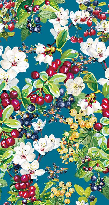 429432-手绘水彩水果 葡萄 果子 创意服装