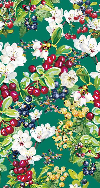 429433-手绘水彩水果 葡萄 果子 创意服装