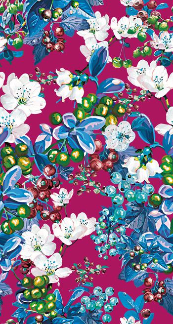 429434-手绘水彩水果 葡萄 果子 创意服装