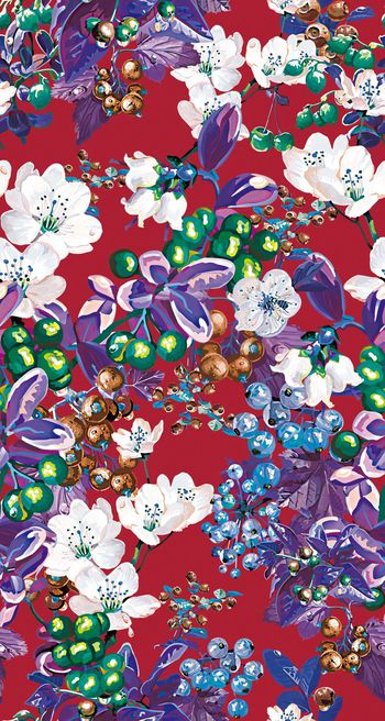 429435-手绘水彩水果 葡萄 果子 创意服装