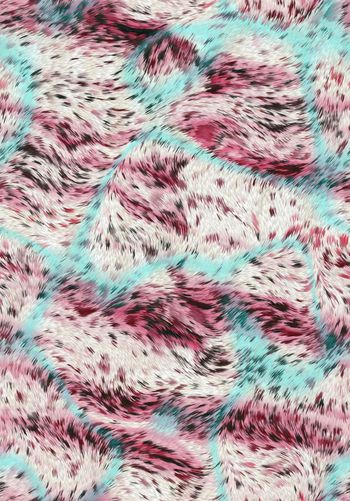 429523-流动的双色渐变毛皮动物纹豹纹组合男