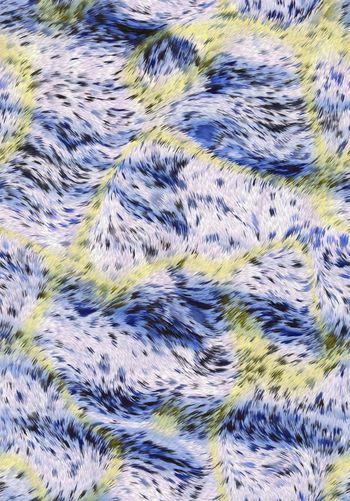 429524-流动的双色渐变毛皮动物纹豹纹组合男