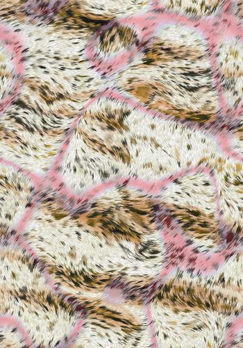 429526-流动的双色渐变毛皮动物纹豹纹组合男