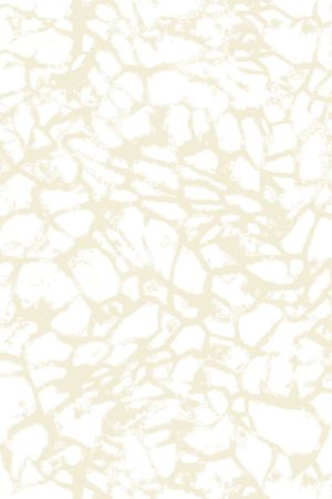 烫金印花华亿平台图片