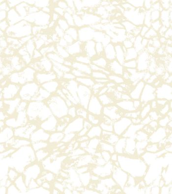 烫金印花华亿平台图片